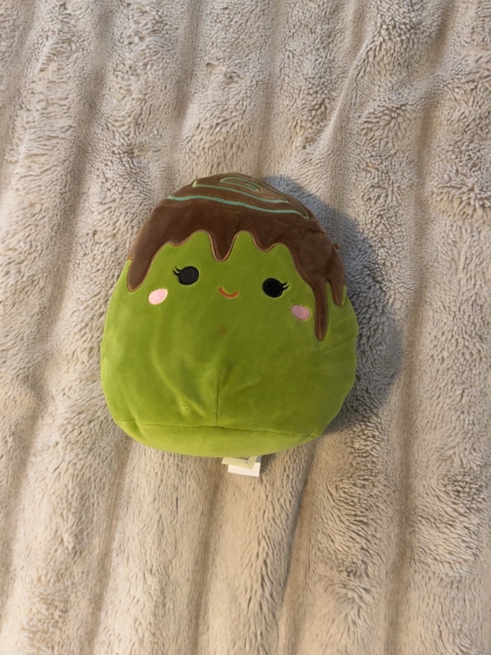Squishmallows Green and Brown Plush